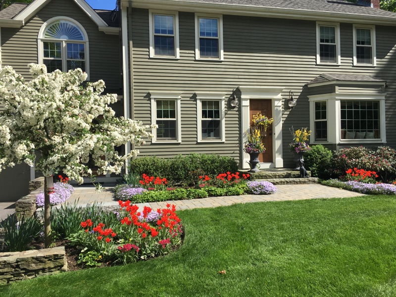 7 Must-do’s For Landscape Curb Appeal That You Will Love