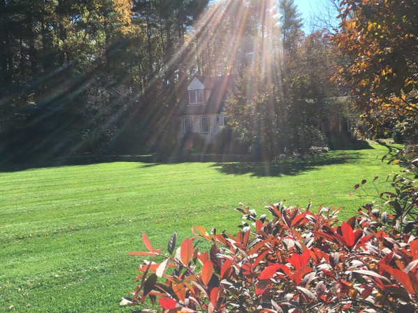 5 Top Fall Tasks To Give Your Landscape The Biggest Bang For Your Buck
