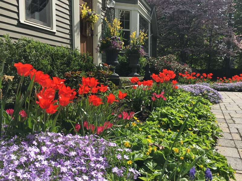 Stepping Back: Tips for when life calls you away from gardening