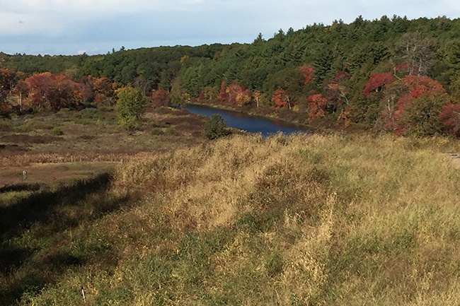 Environmental Restoration Landscapes