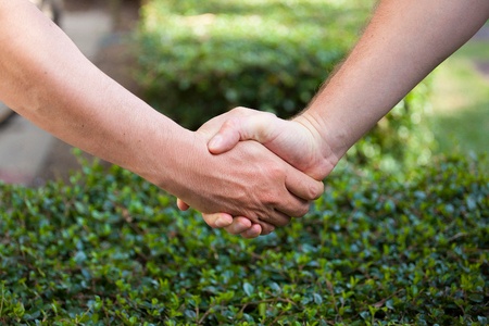 6 Reasons Why All Landscape Professionals Need Renewing Client Contracts