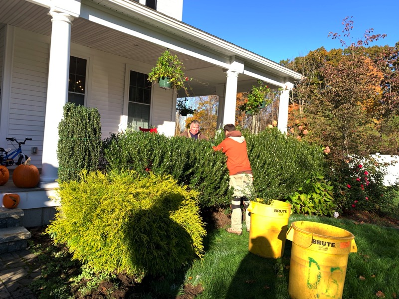 Landscape Maintenance Holliston MA