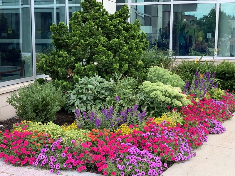 Container Gardens Needham MA