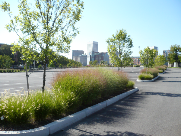 Landscape Field Videos: Maintaining an Urban Landscape